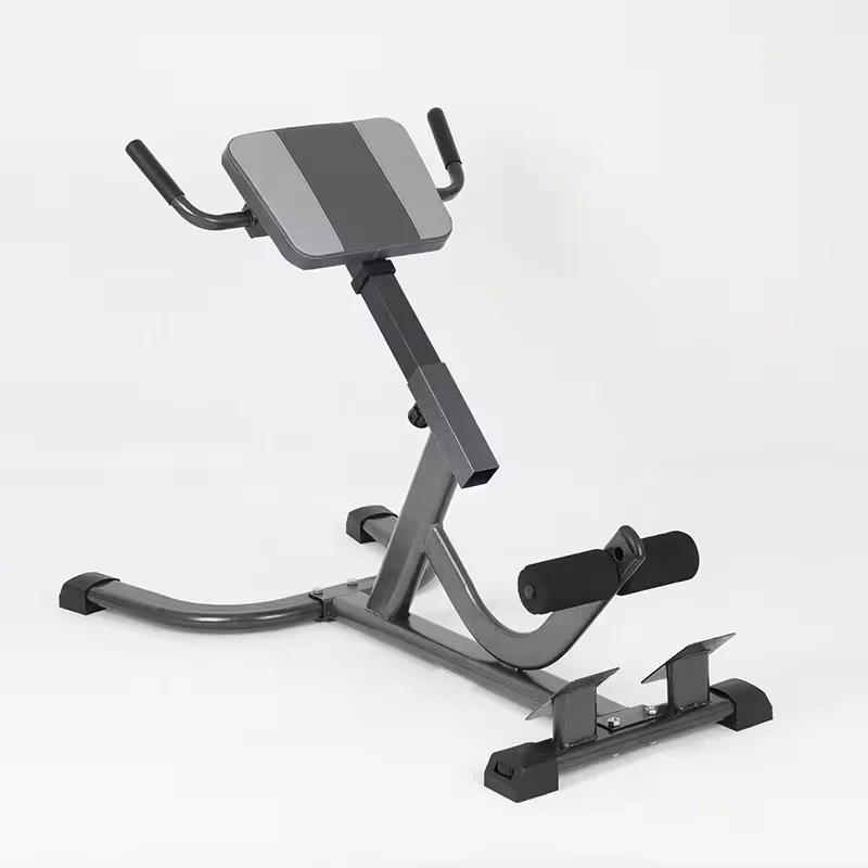 2026 Steel Roman Chair Verstel - Home Gym Hamstring Exercises recensie en prijs